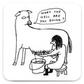Funny Gift David Shrigley Coaster - What The Hell