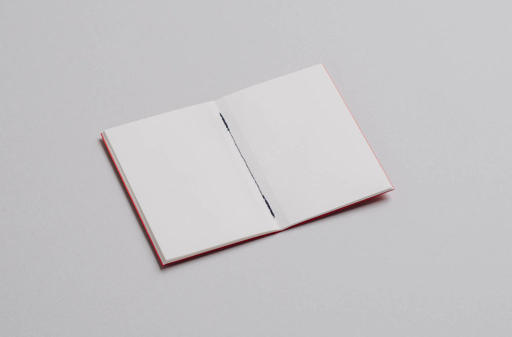 POCKET Notebook - Pack of 3
