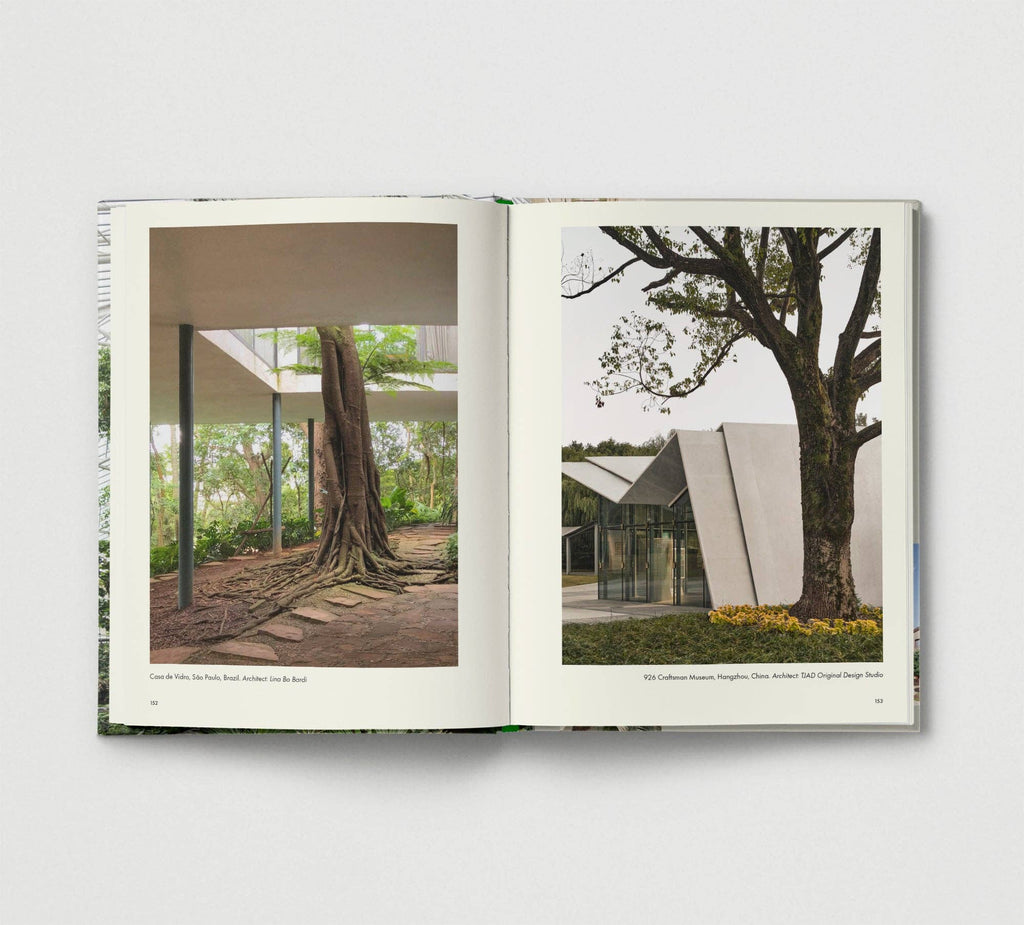 Brutalist Plants