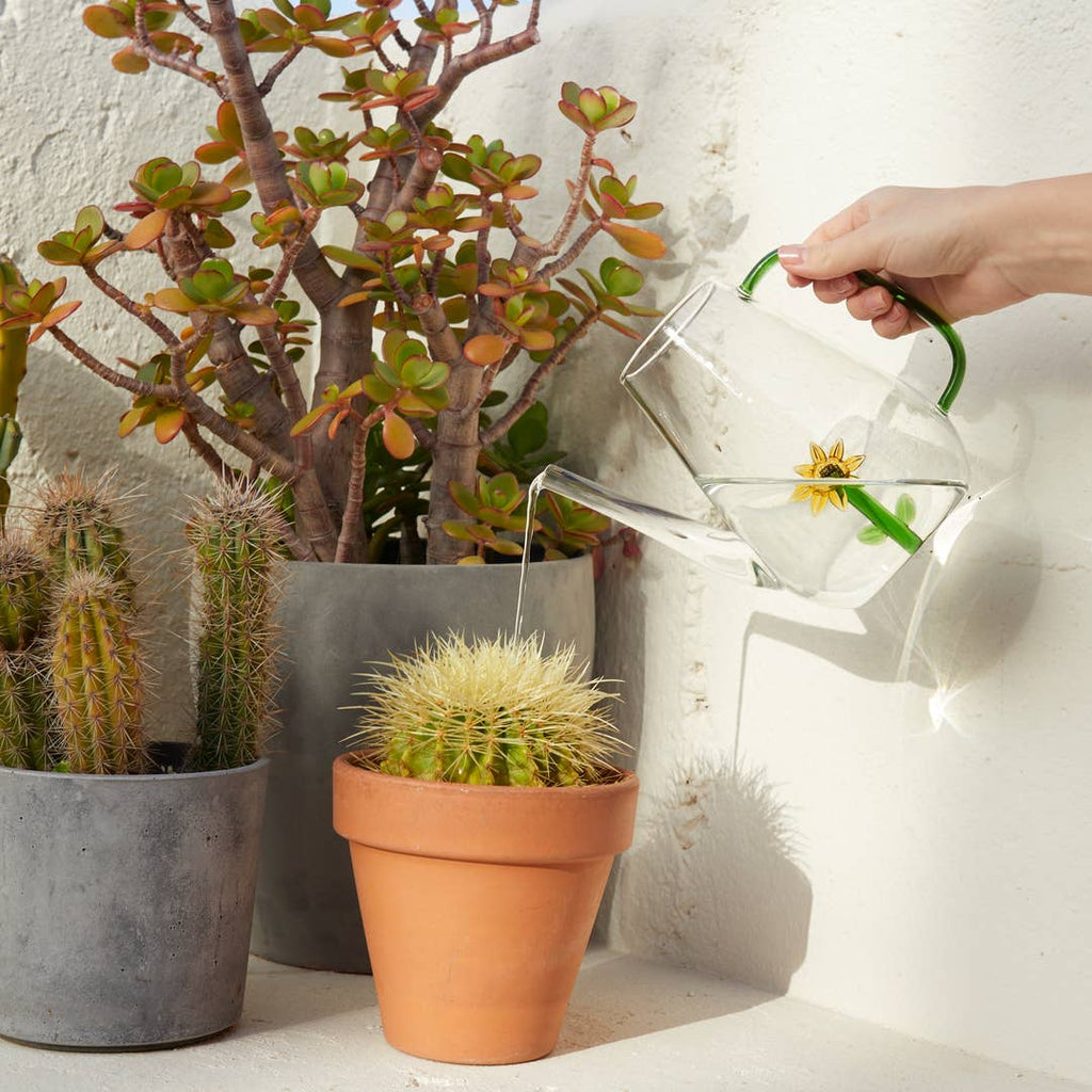 Balvi Botanical Glass Watering Can | 1L Sunflower