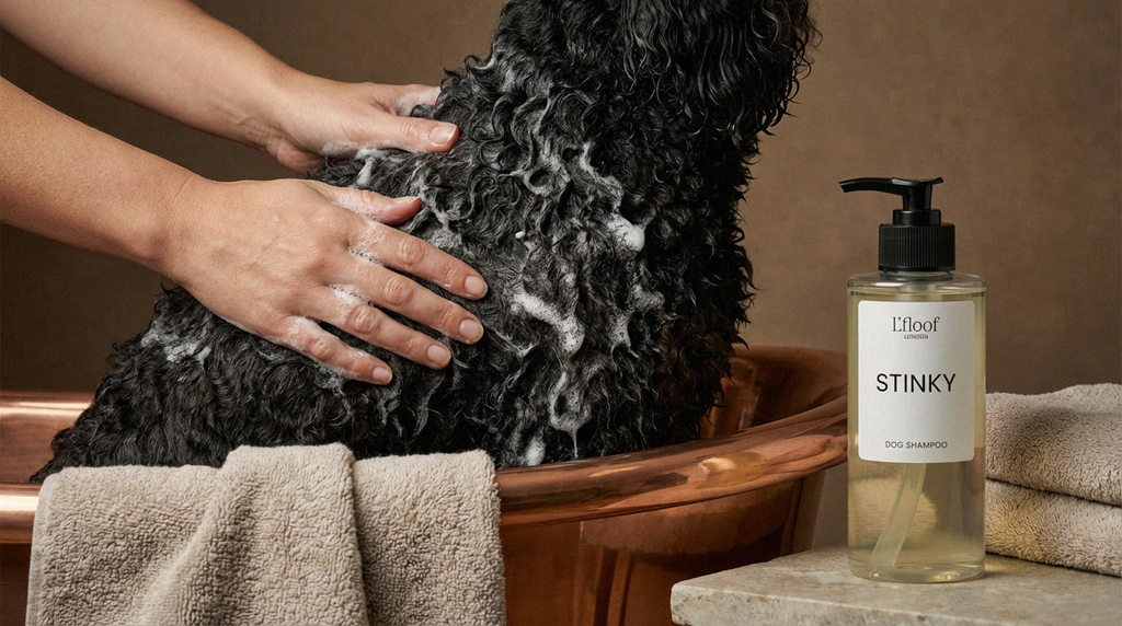 Natural Dog Shampoo - Bergamot/Lavender - 300ml L'floof