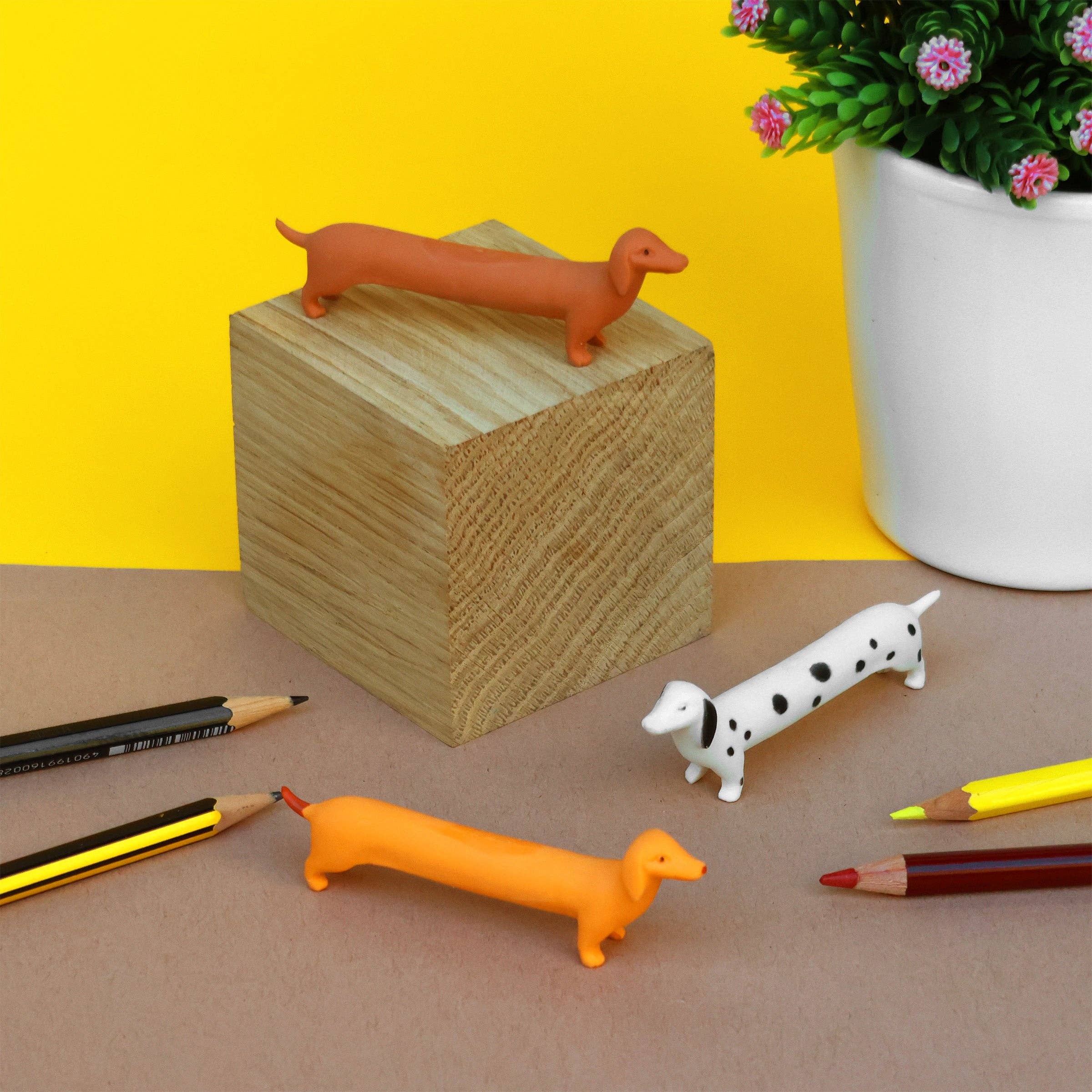 Dog Erasers